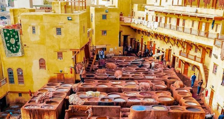 Aerial view of a traditional leather tannery with people working.