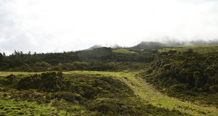 Colline verdoyante avec une montagne brumeuse en arrière-plan.