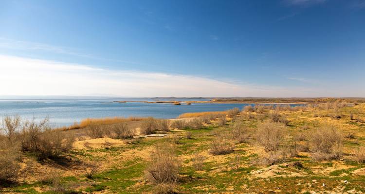 Lake with dry reeds and grassy banks.