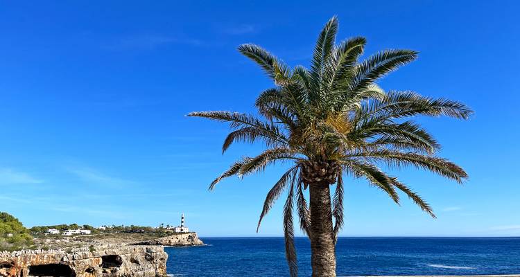 Una palmera solitaria enmarcando un acantilado costero y un faro contra las profundas aguas azules del Mediterráneo.