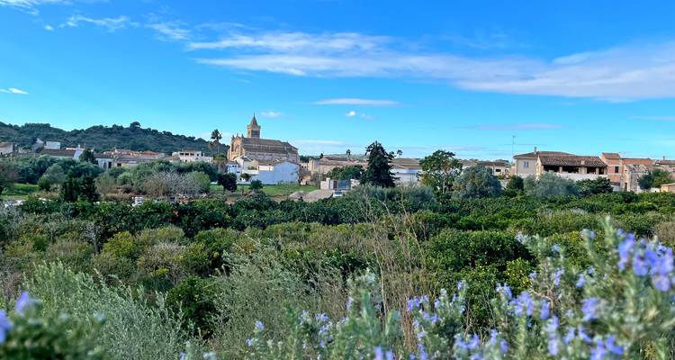 Vista a través de tierras de cultivo exuberantes hacia un pueblo rural con iglesia de piedra y casas dispersas bajo el cielo azul.
