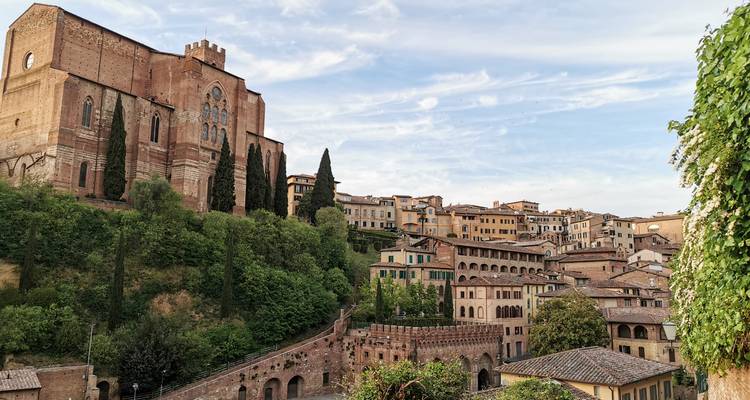 Panoramablick auf Sienas Backsteindächer und Kirchenfassaden, die sich über die üppige Hügellandschaft erheben.