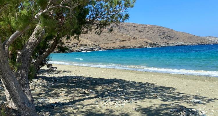 Sandy beach with clear blue water and tree shadows.