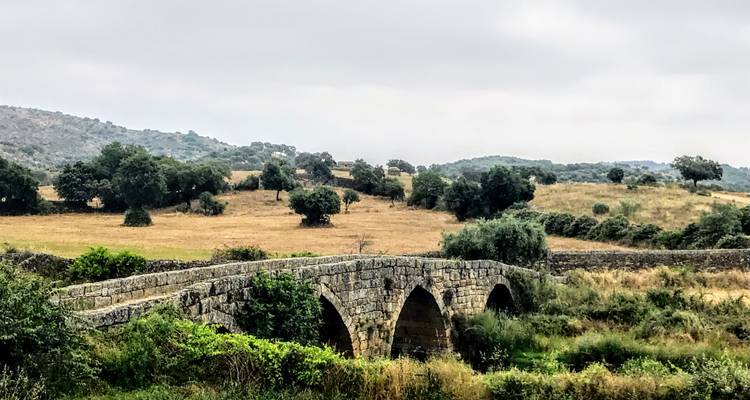Alte Steinbrücke in ländlicher Umgebung.