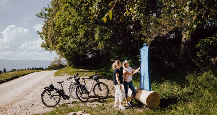 Eine Gruppe von Menschen auf Fahrrädern, die eine detaillierte Karte auf einem Schild betrachten, mit einem malerischen Weg in der Landschaft.