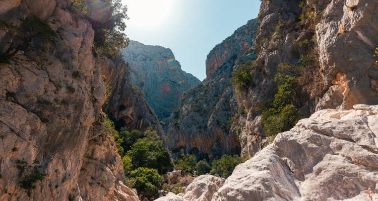 Tiefe felsige Schlucht mit steilen Kalksteinwänden, verstreuten Bäumen und hellem Sonnenschein von oben.