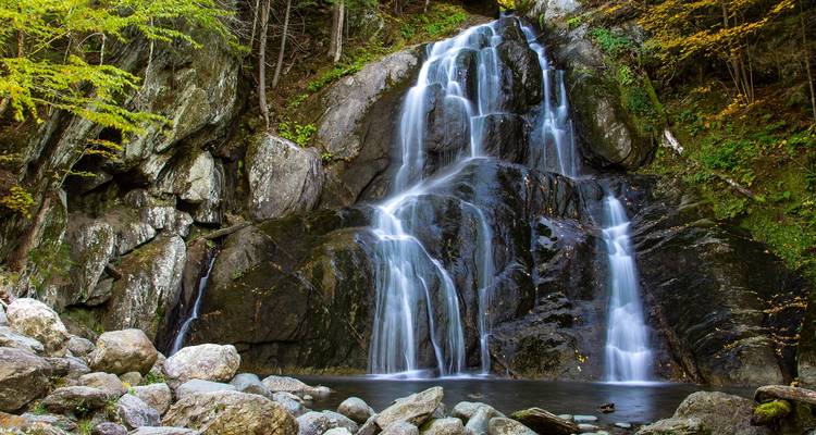 Una cascada impresionante que cae en cascada por las rocas rodeada de árboles densos.