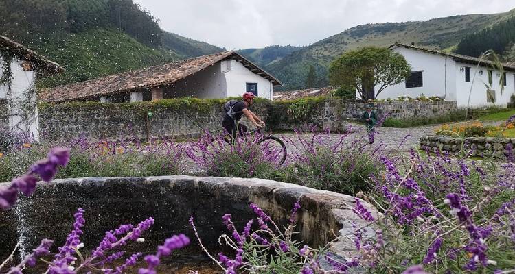 Cycliste passant devant un jardin fleuri avec des maisons traditionnelles.