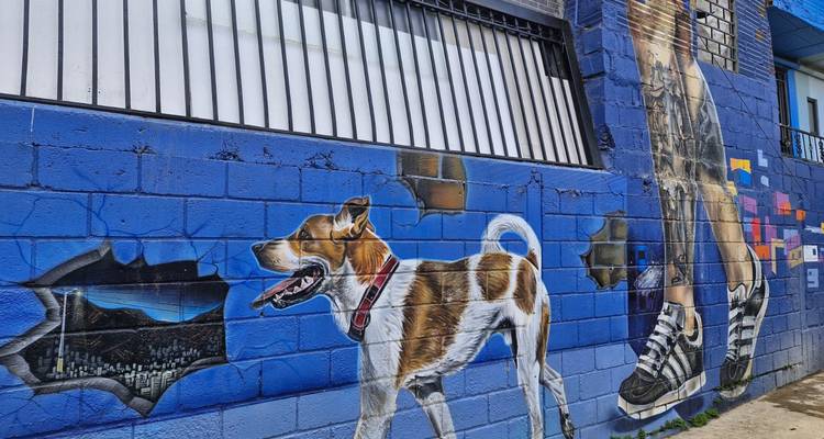 A vibrant mural featuring a dog on a brightly colored blue wall.