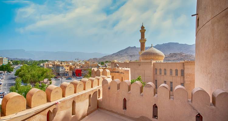 An elevated view of a traditional town with a mosque against a desert backdrop.