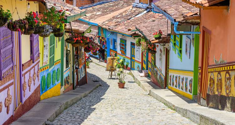 Rue colorée avec des façades de maisons vibrantes et des pots de fleurs.