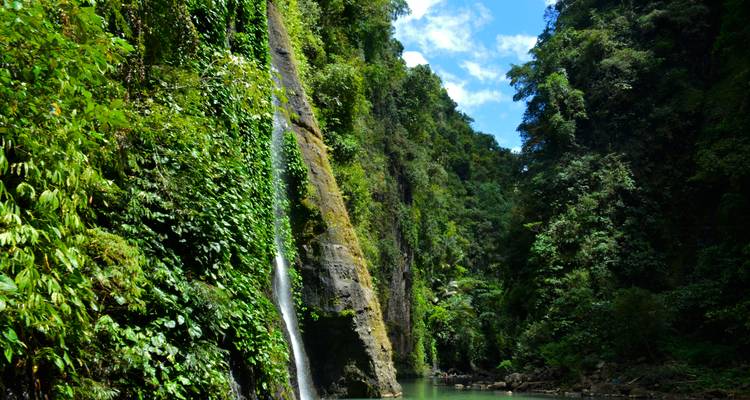 Wasserfall, der einen üppig grünen Felsen hinabstürzt in einen Teich.