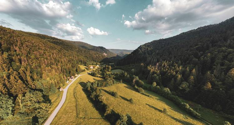 Een vallei met een kronkelende weg, omringd door dicht bos en heuvels.