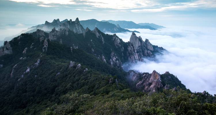Mountain peaks rising above a sea of clouds.