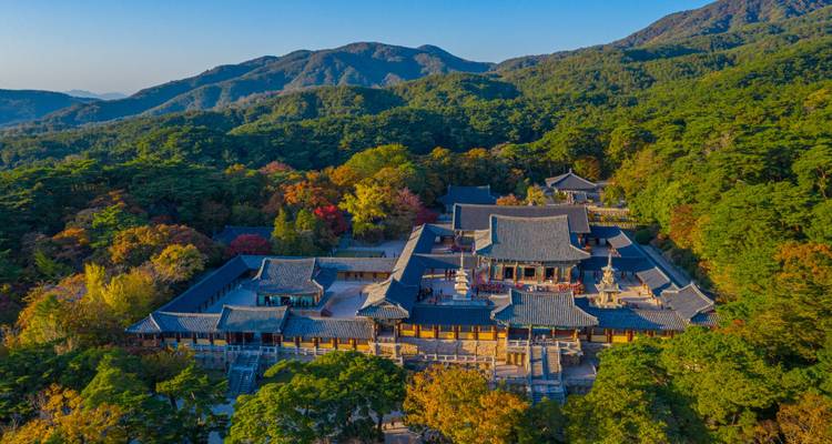 Traditional Asian architecture surrounded by autumn foliage.