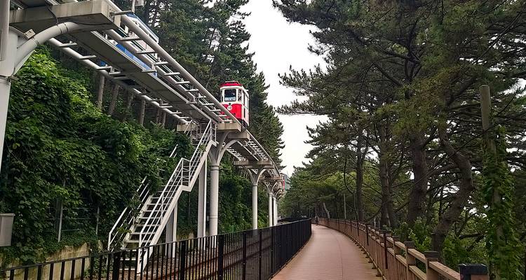 Red tram on a railway track surrounded by trees.