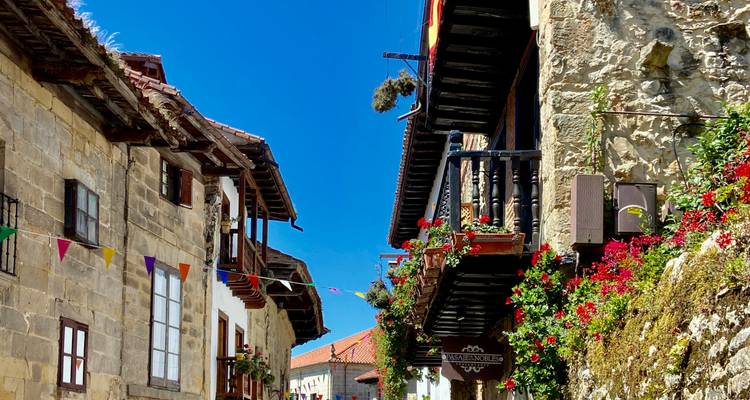 Rue étroite avec de vieilles maisons en pierre décorées de fleurs.