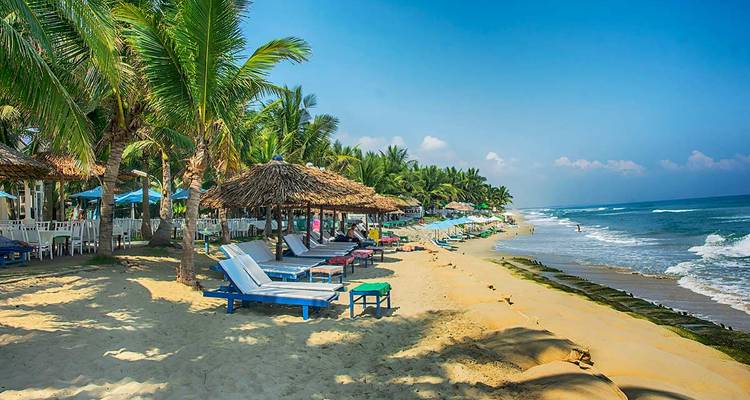 Plage tropicale avec chaises longues et palmiers.