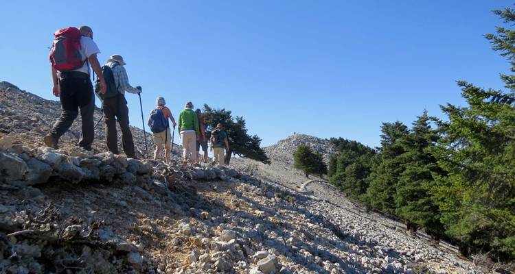 Un groupe de randonneurs marchant le long d'un sentier rocheux avec des arbres en arrière-plan.