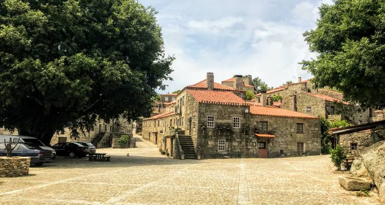 Alte Steinstraße mit großen Bäumen und historischen Gebäuden.