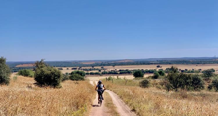 Cycliste sur un sentier de terre dans un paysage rural.