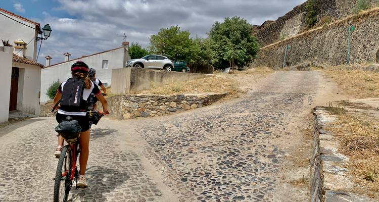 Des cyclistes montant une route pavée.