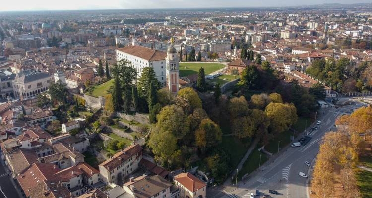 Luchtfoto van een stad met historische gebouwen en bomen.