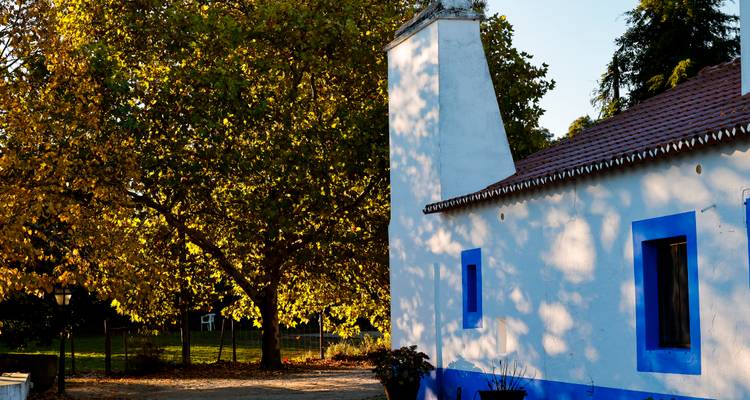 Traditional white and blue building with a large tree in autumn colors.