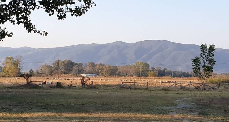 Un vaste champ agricole avec des montagnes en arrière-plan sous un ciel dégagé.