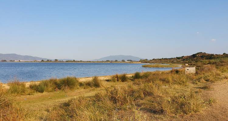 Un rivage serein avec des herbes et des montagnes lointaines au bord d'un plan d'eau calme.