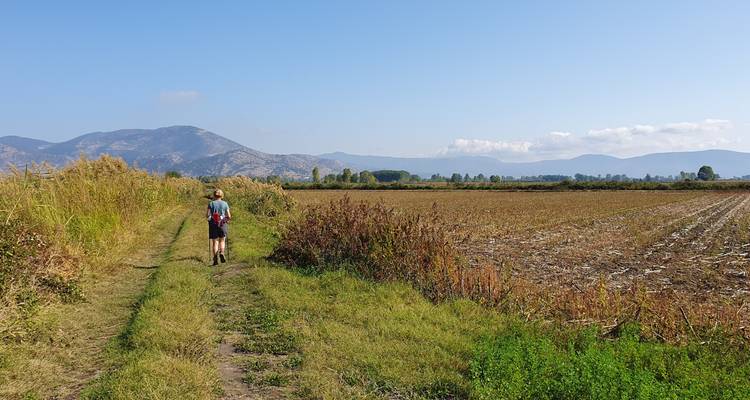 Un enfant marchant le long d'un sentier bordé de champs et de montagnes au loin.