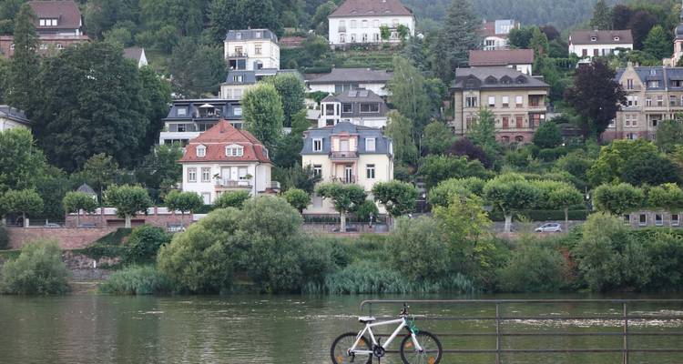 Zicht op een stad aan de rivier met groen en verschillende huizen.