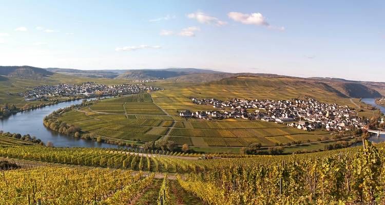 Panoramisch uitzicht op een rivierbocht omringd door wijngaarden en dorp.