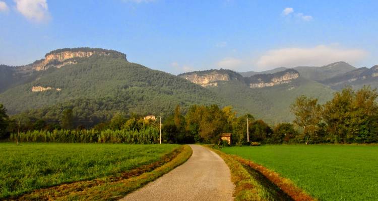 Landelijk landschap met een geasfalteerde weg die door groene velden naar beboste heuvels leidt.