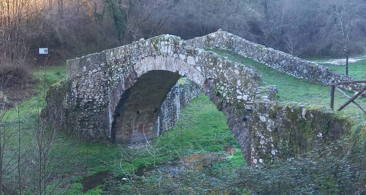 Oude stenen brug met mos en plantengroei omgeven door bomen en grasgebied.