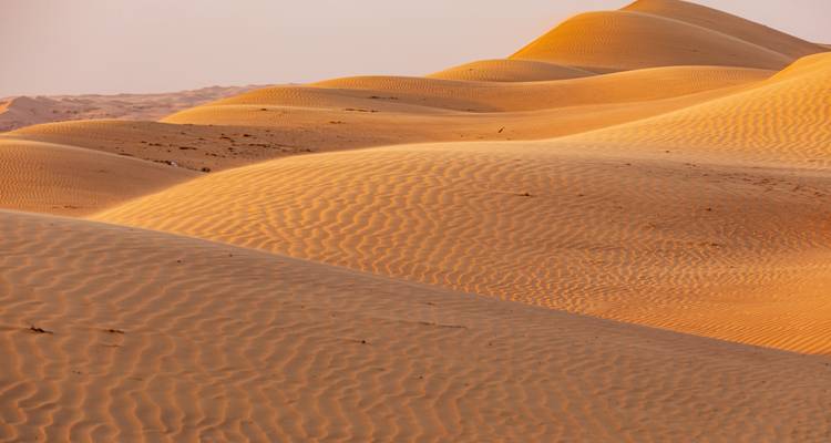 Dunes de sable du désert ondulantes dans une lumière chaude.