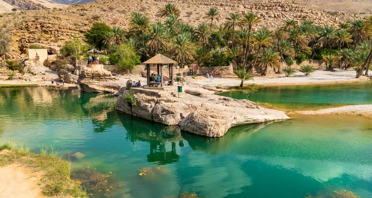 Vue panoramique d'une oasis luxuriante avec des gens profitant des environs.