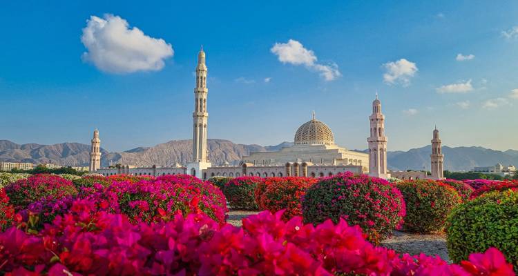 Grande mosquée avec des minarets imposants et des jardins de fleurs éclatants se dressant contre des montagnes escarpées et un ciel bleu.