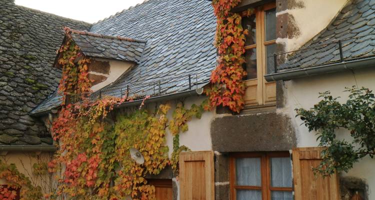 Stone house with ivy-covered roof in a rural setting.