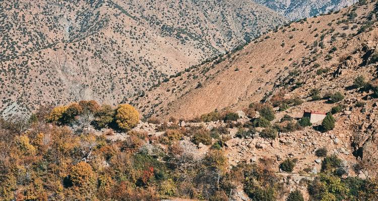 Raue Gebirgslandschaft mit spärlicher Vegetation.
