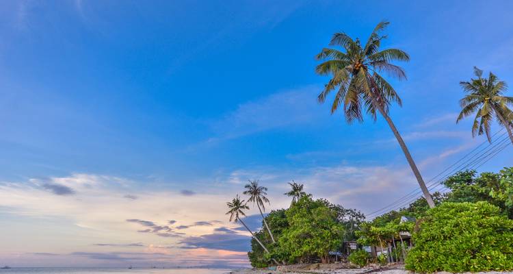 Palmiers le long d'une plage sous un ciel bleu au coucher du soleil.