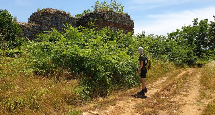 Person observing ancient ruins in a forested area.
