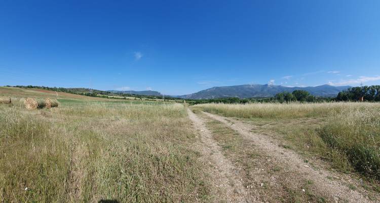 Wide view of a dirt path leading through an open field with mountains in the distance.