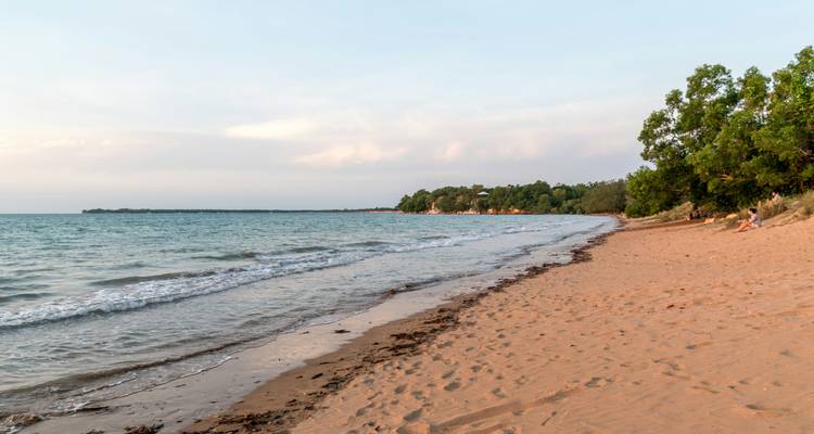 Sandy beach with calm waves and trees lining the shore.