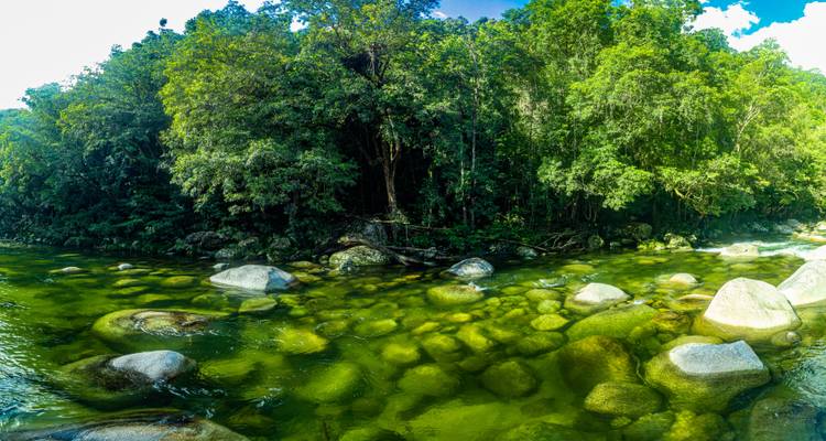 Clear river with stones visible beneath the water, surrounded by dense forest.