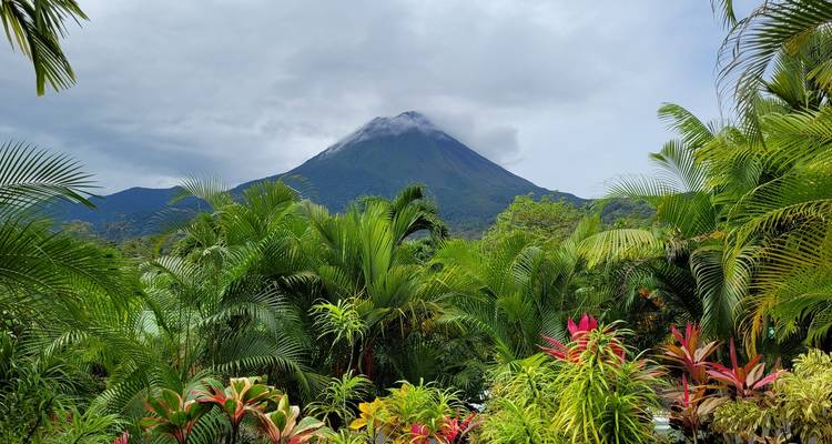 View of a lush, green landscape with a volcano in the background.