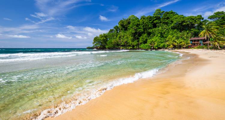 Tranquil beach with clear water and tropical vegetation.
