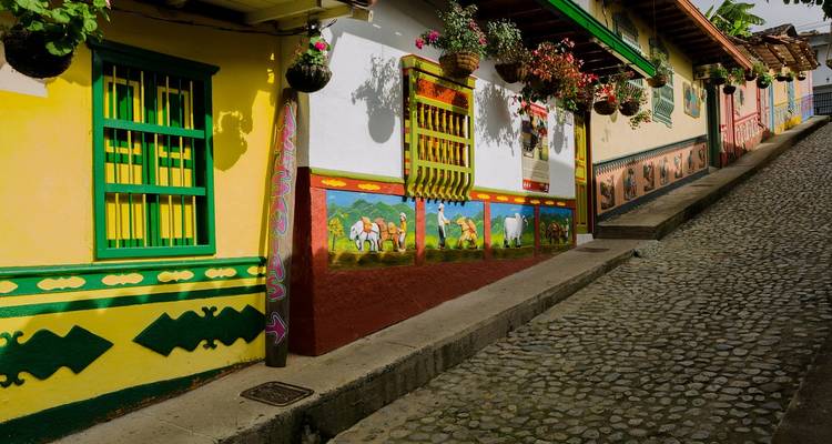 Kleurrijke gebouwen aan een geplaveide straat versierd met bloemen.