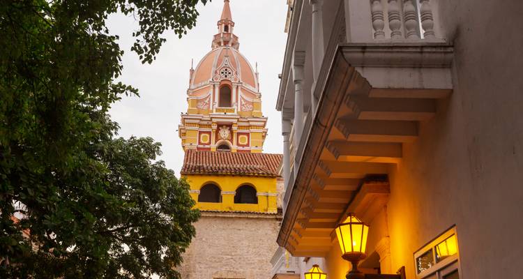 Kleurrijke klokkentoren omringd door tropische bomen.