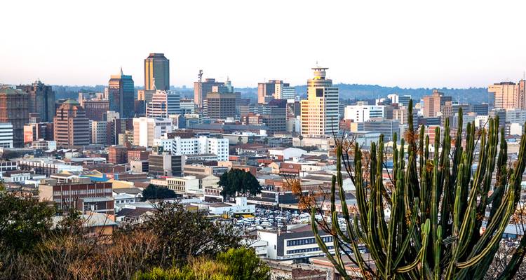 Horizon d'une ville avec des bâtiments modernes et un cactus au premier plan.